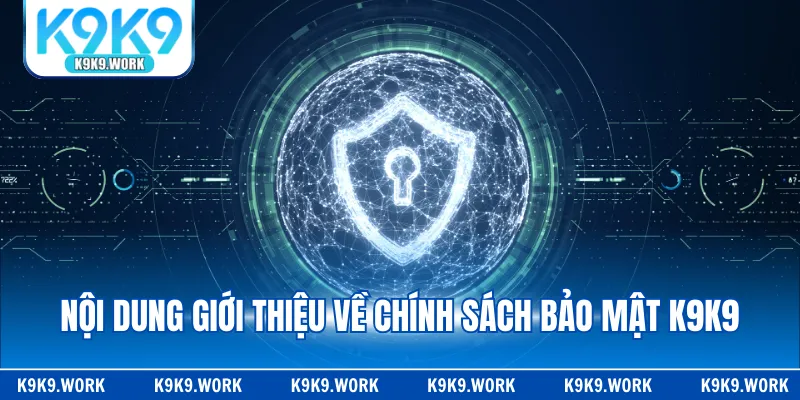 Nội dung giới thiệu về chính sách bảo mật K9K9