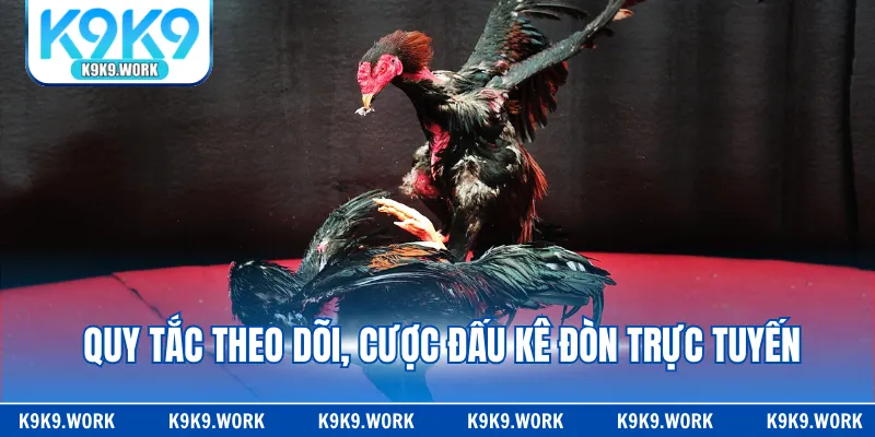 Quy tắc theo dõi, cược đấu kê đòn trực tuyến